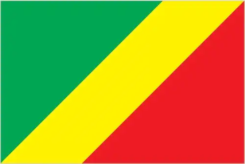 National flag of Congo (Democratic Republic) - The flag of the Democratic Republic of the Congo features a sky blue field with a yellow-bordered red diagonal stripe from the lower hoist to the upper fly, and a yellow five-pointed star in the upper hoist corner. The blue represents peace, the red symbolizes the blood of the country's martyrs, the yellow represents the country's wealth, and the star represents the bright future of the nation.