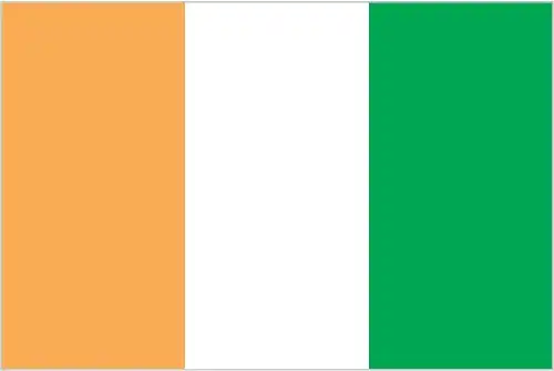 The flag of Côte d'Ivoire features three vertical bands of orange, white, and green. The orange represents the savannas of the north and the fertility of the land, the white symbolizes peace and unity, and the green represents the forests of the south and hope for the future. The colors are inspired by the Pan-African movement and represent the country's natural resources and aspirations.