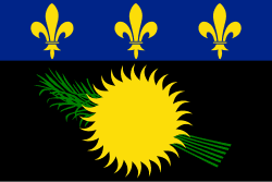 Guadeloupe is an overseas department of France and uses the French tricolour as its official flag. However, a popular unofficial flag features a yellow sun rising above a green sugarcane silhouette set on a blue and black background, often flown at cultural events and sporting occasions.