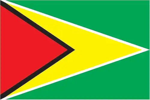 Known as 'The Golden Arrowhead,' the flag of Guyana features a green field with a red isosceles triangle edged in white coming from the hoist, a larger golden triangle edged in black overlaying it, and extending into the fly. The dynamic shapes confer a sense of progress and aspiration.