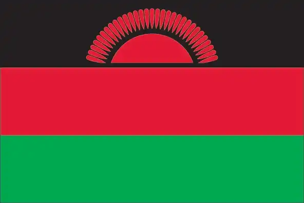 The Malawian flag has three equal horizontal stripes of black, red, and green, crowned on the black stripe with a red rising sun composed of 31 rays. This design expresses African identity, sacrifice, hope, and national rebirth.