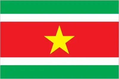 Suriname’s flag is comprised of five horizontal bands—green, white, red (double width), white, green—with a large yellow star centered on the red stripe—embodying unity, hope, progress, and national harmony.