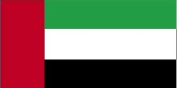 The UAE flag features a vertical red band at the hoist, followed by horizontal stripes of green, white, and black—using Pan-Arab colors to express unity, heritage, and national identity.