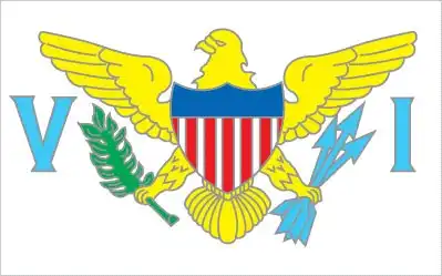 The flag shows a simplified U.S. coat of arms—golden eagle grasping a green laurel sprig and three blue arrows—flanked by large blue 'V' and 'I' letters on a white field, representing the Virgin Islands themselves.