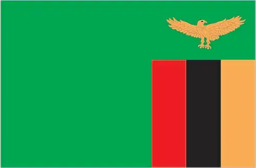 Zambia’s flag features a vibrant green field symbolizing its lush vegetation, overlaid at the fly by a vertical tricolour of red, black, and orange, and topped by an orange African fish‑eagle in flight—unique in placing symbols on the fly instead of the hoist.